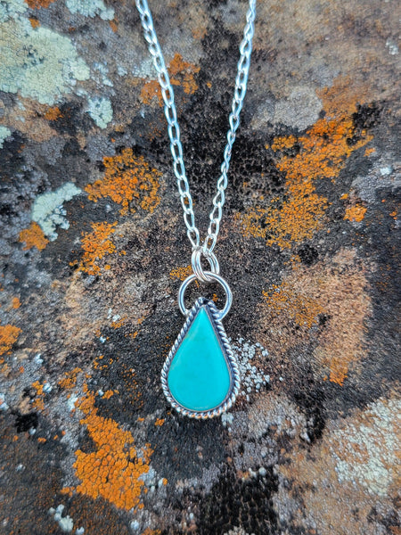 Coyote Rock Necklace