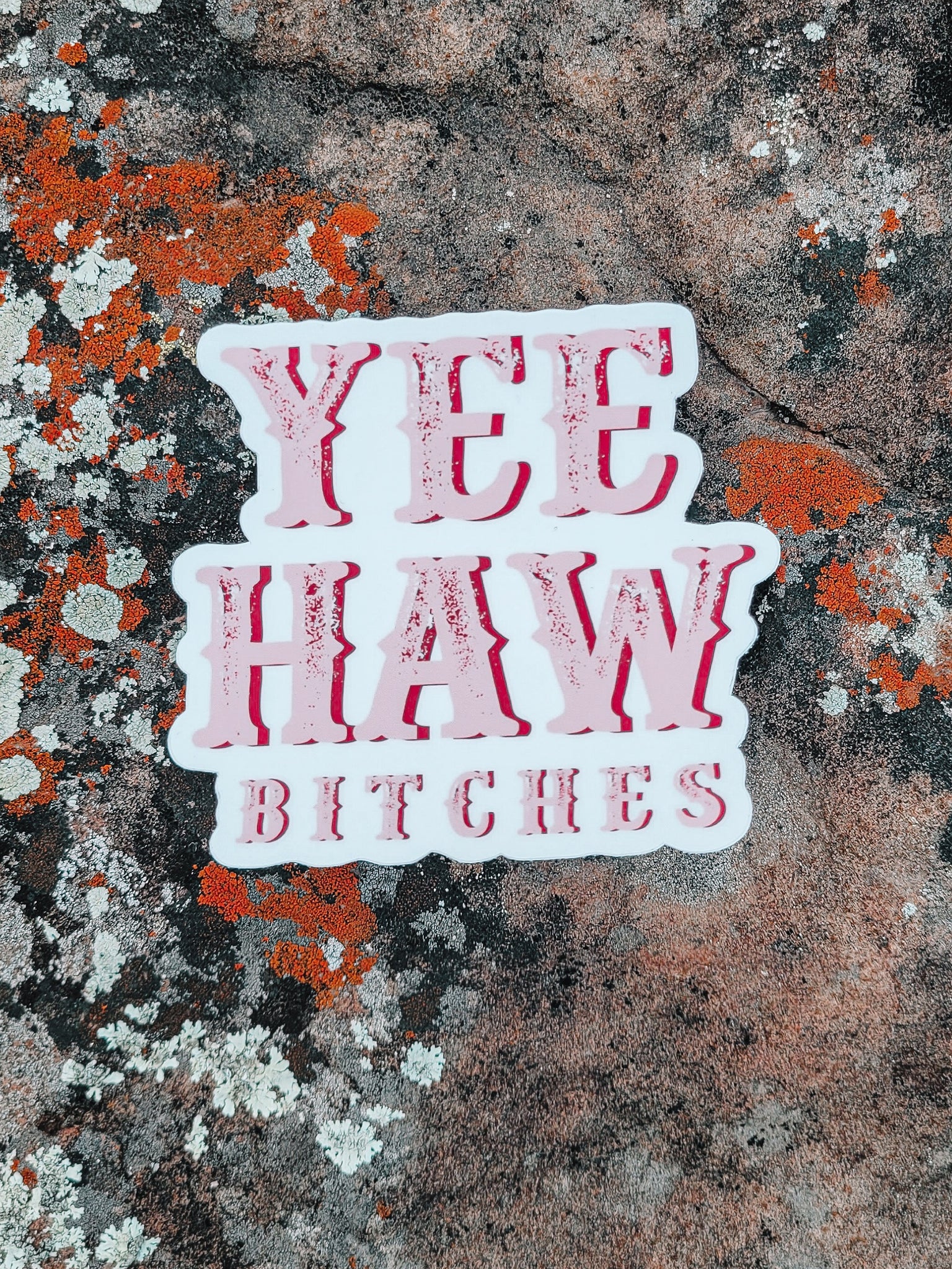 Yeehaw B*tches Sticker